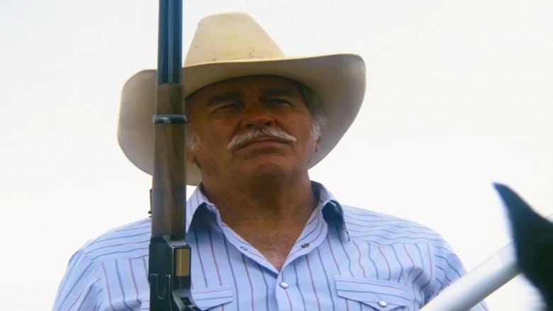 Assistir Dallas Temporada 12 Episódio 8 Online em HD