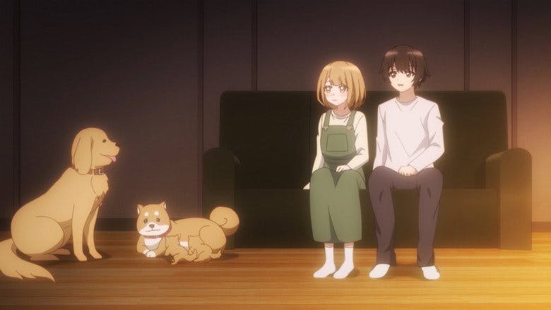 O Despertar dos Medidores de Amor