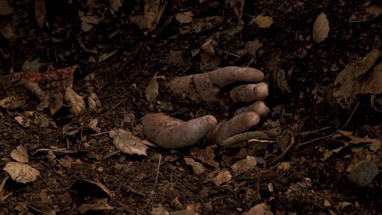 Assistir Donas de Casa Desesperadas Temporada 1 Episódio 11 Online em HD