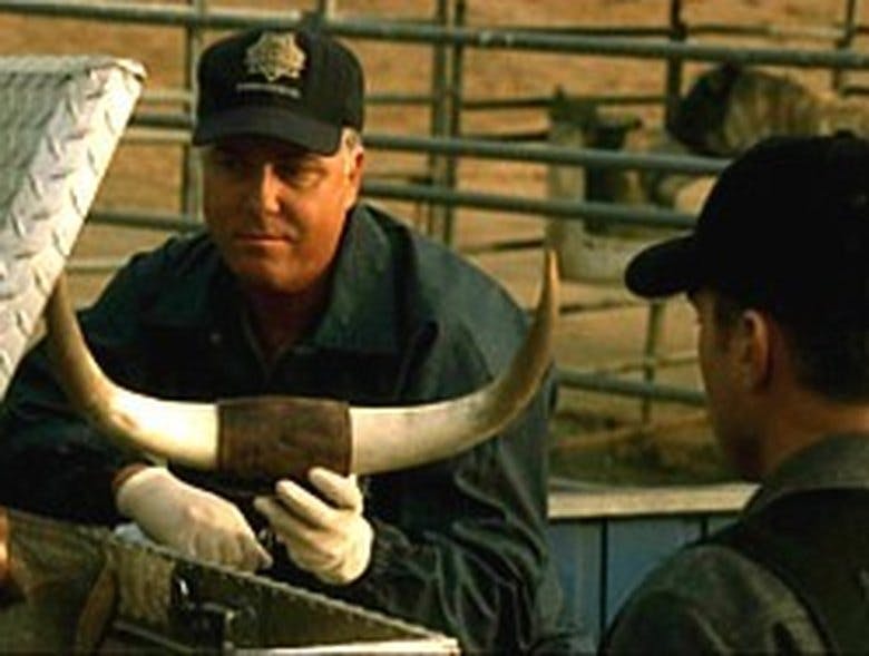 Assistir CSI: Investigação Criminal Temporada 3 Episódio 8 Online em HD