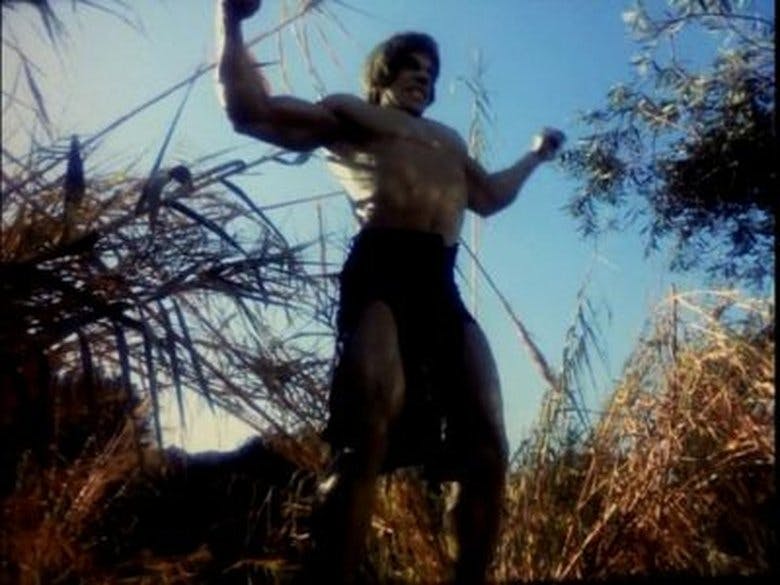 Assistir O Incrível Hulk Temporada 4 Episódio 4 Online em HD