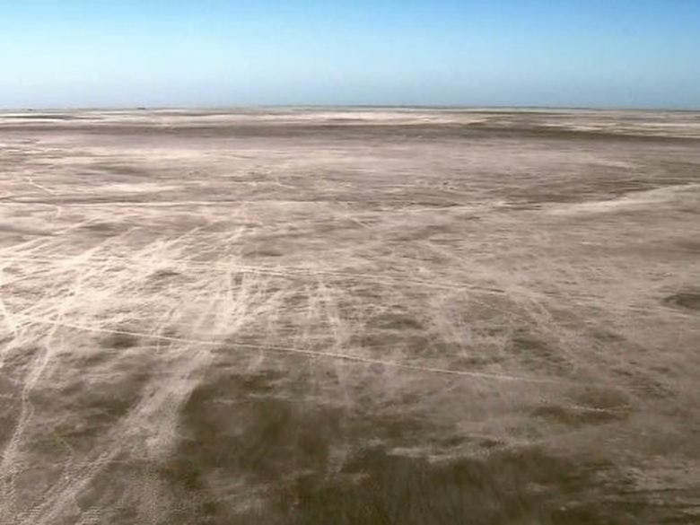 Assistir Grandes Migrações Temporada 1 Episódio 5 Online em HD