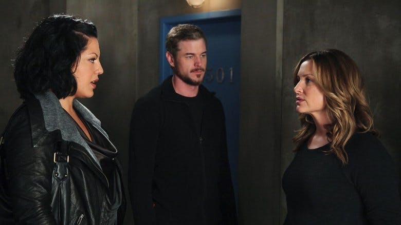 Assistir Anatomia de Grey Temporada 7 Episódio 12 Online em HD