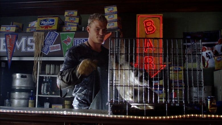 Assistir Blue Mountain State Temporada 2 Episódio 9 Online em HD