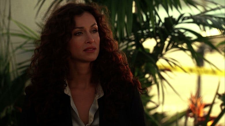 Assistir CSI: Miami Temporada 3 Episódio 10 Online em HD
