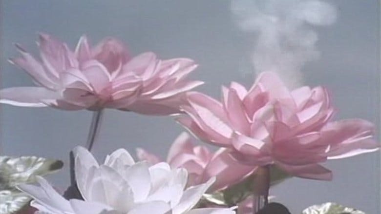 Assistir Jiban Temporada 1 Episódio 33 Online em HD