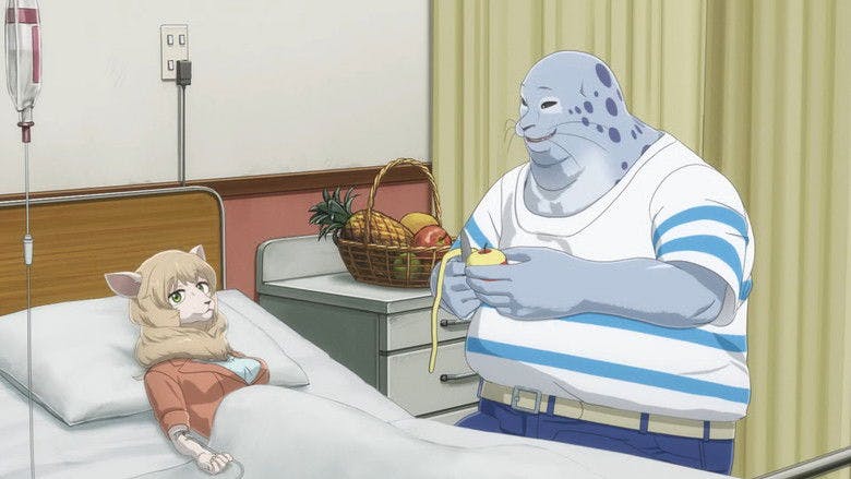 Ninho de Macarrão Desidratado