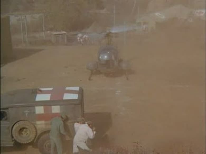 Assistir M*A*S*H Temporada 5 Episódio 8 Online em HD