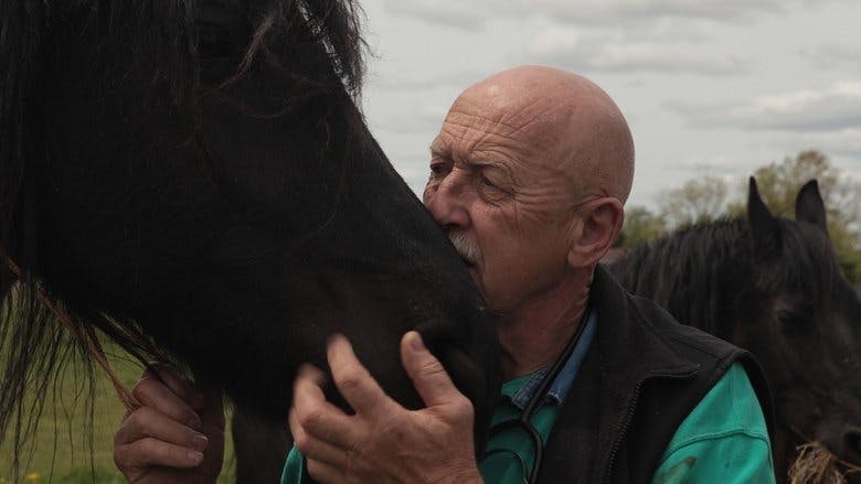 Assistir Clínica Animal com Dr. Pol Temporada 1 Episódio 2 Online em HD