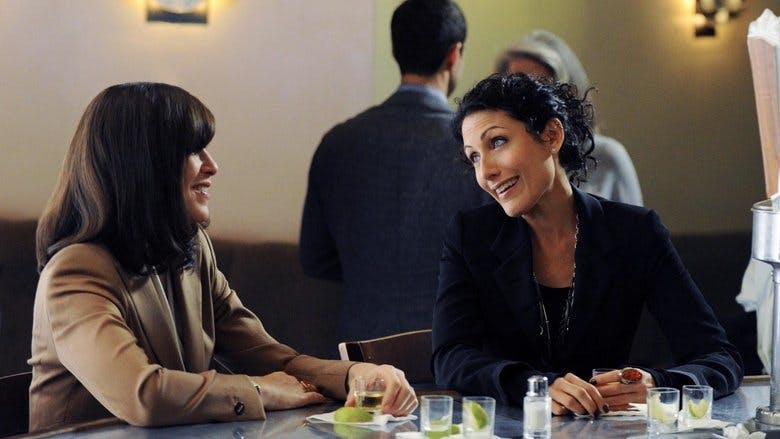 Assistir The Good Wife – Pelo Direito de Recomeçar Temporada 3 Episódio 5 Online em HD