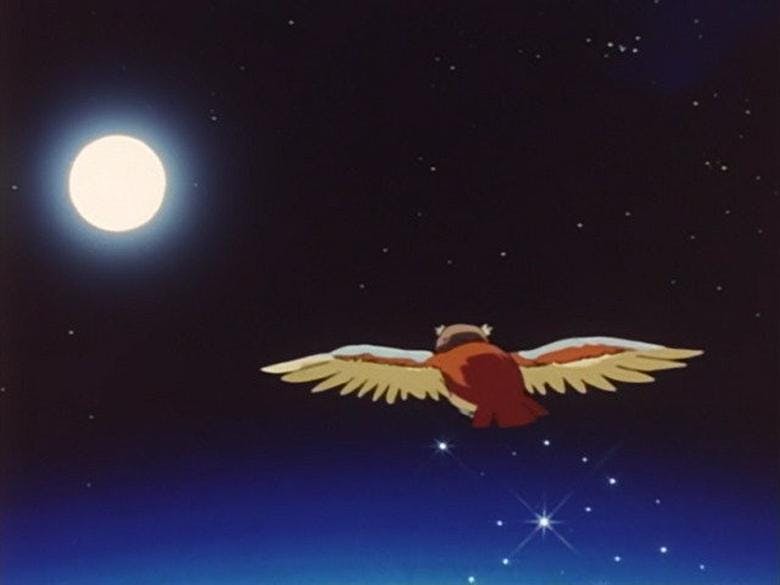 Assistir Pokémon Temporada 5 Episódio 2 Online em HD