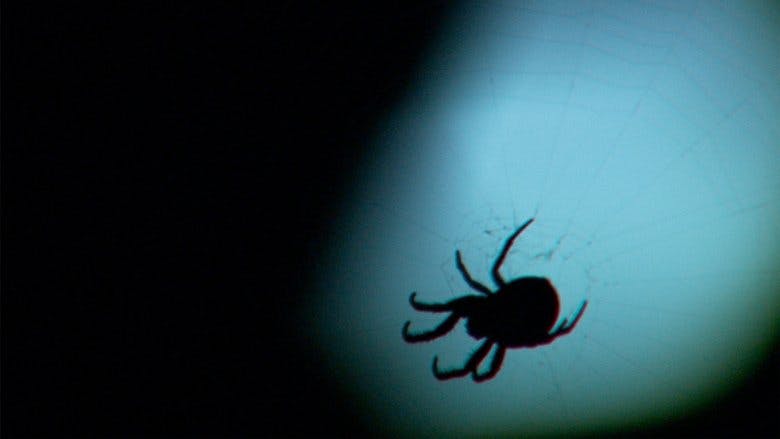 Assistir Um Estranho na Selva Temporada 1 Episódio 2 Online em HD