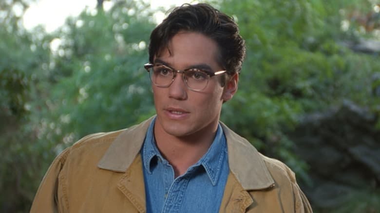 Assistir Lois & Clark: As Novas Aventuras do Superman Temporada 1 Episódio 8 Online em HD