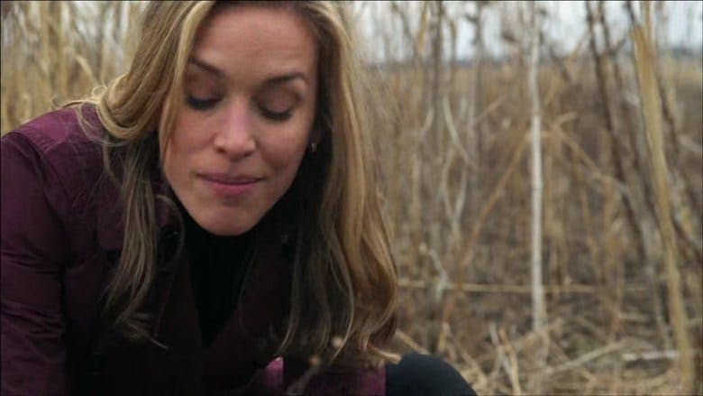 Assistir Covert Affairs: Assuntos Confidenciais Temporada 2 Episódio 4 Online em HD