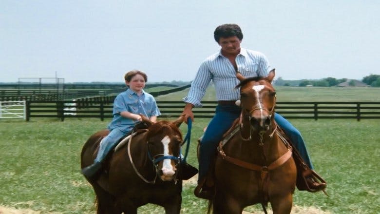 Assistir Dallas Temporada 11 Episódio 6 Online em HD