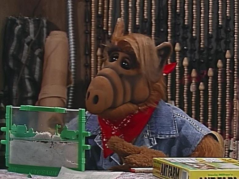 Assistir ALF, o ETeimoso Temporada 3 Episódio 21 Online em HD