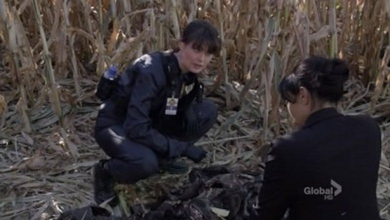 Assistir Ossos Temporada 6 Episódio 12 Online em HD