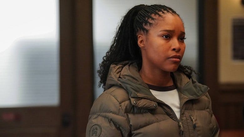 Assistir Chicago P.D.: Distrito 21 Temporada 12 Episódio 19 Online em HD