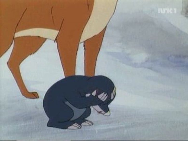 Assistir Animais do Bosque dos Vinténs Temporada 2 Episódio 2 Online em HD