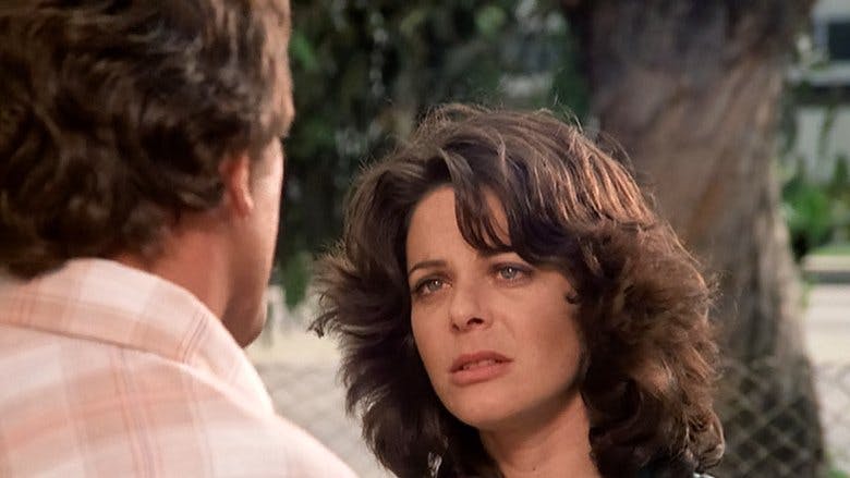 Assistir O Incrível Hulk Temporada 1 Episódio 12 Online em HD