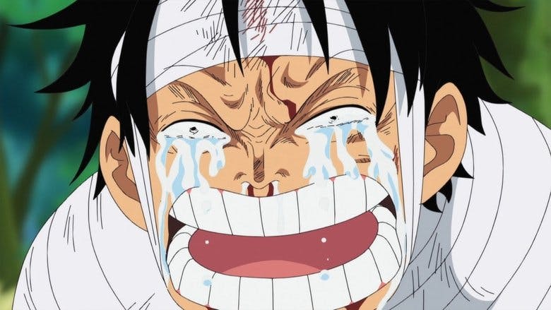 Assistir One Piece Temporada 13 Episódio 491 Online em HD