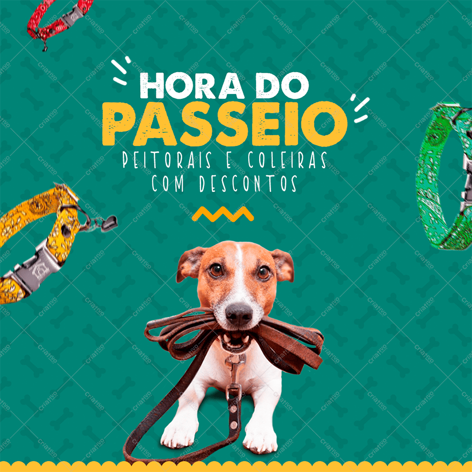 Banner para Pet Shop Hora do Passeio PSD Editável