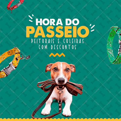 Hora Do Passeio - Social Media - Psd