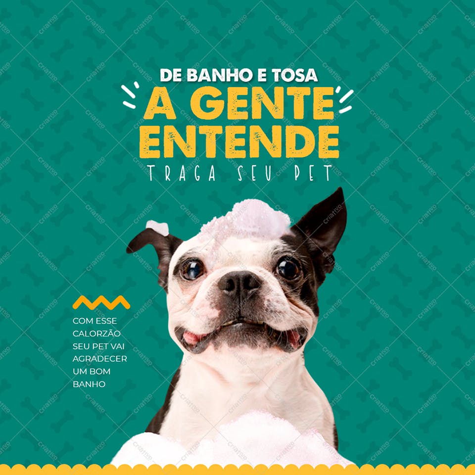 Post para Redes Sociais Pet Shop PSD Editável