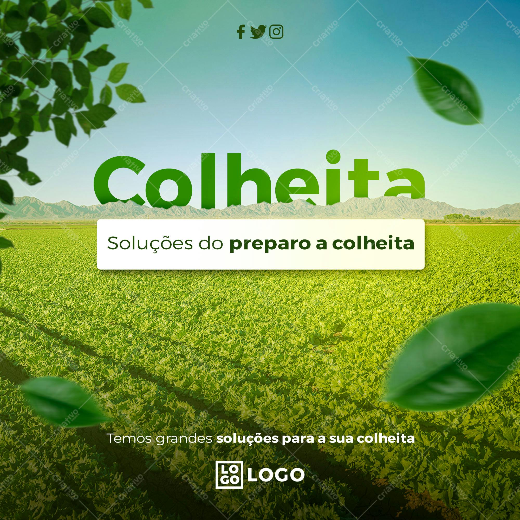 Post para Redes Sociais Colheita PSD Editável
