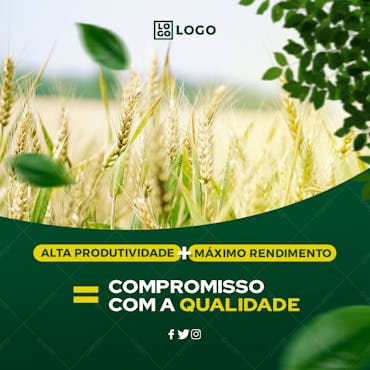 Feed - Social Media - Agro Qualidade