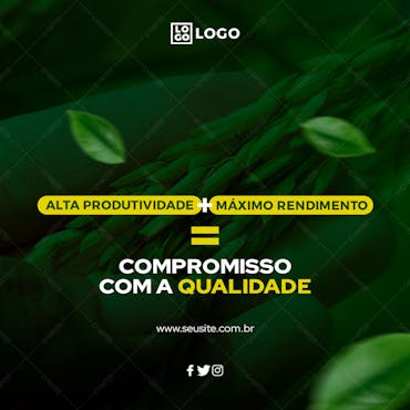 Feed - Social Media - Agro Produtividad