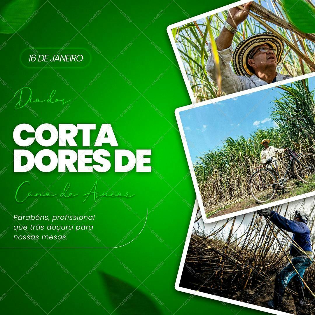 Post para Redes Sociais Dia do Cortador de Cana PSD Editável
