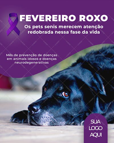 Fevereiro Roxo Pet , arte editável, imagens inclusas, PSD