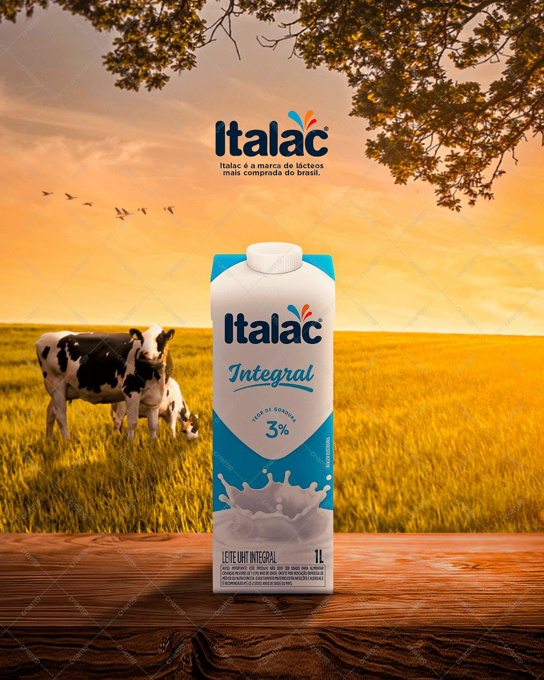 Mockup Embalagem de Leite Integral PSD Editável