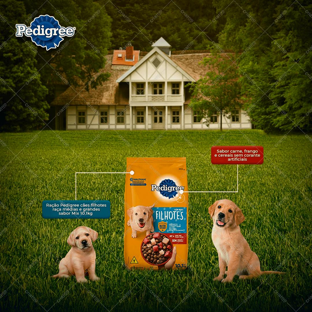 Mockup Ração Pedigree para Redes Sociais PSD Editável