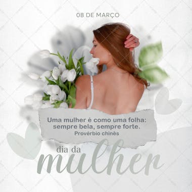 08 de março, dia da mulher