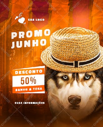 1080 x 1350 cachorro junino