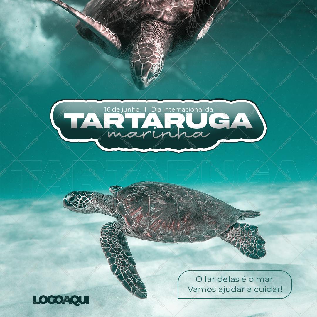 Post para Redes Sociais Dia da Tartaruga Marinha PSD Editável