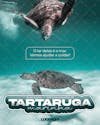 Dia internacional da tartaruga marinha , arte editável, imagens inclusas, psd