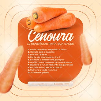 Post 10 benefícios da cenoura