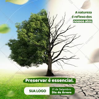 Dia da árvore 21 de setembro feed preservação