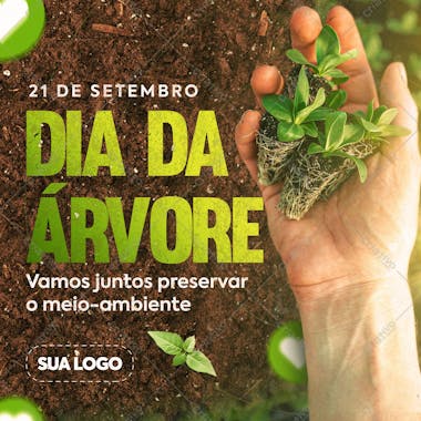 Dia da árvore 21 de setembro feed preservar