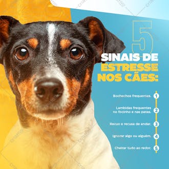 Petshop feed sinais de estresse nos cães