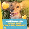 Petshop feed voz de bebê