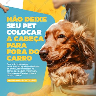 Petshop fedd não deixe seu pet colocar a cabeça pra fora