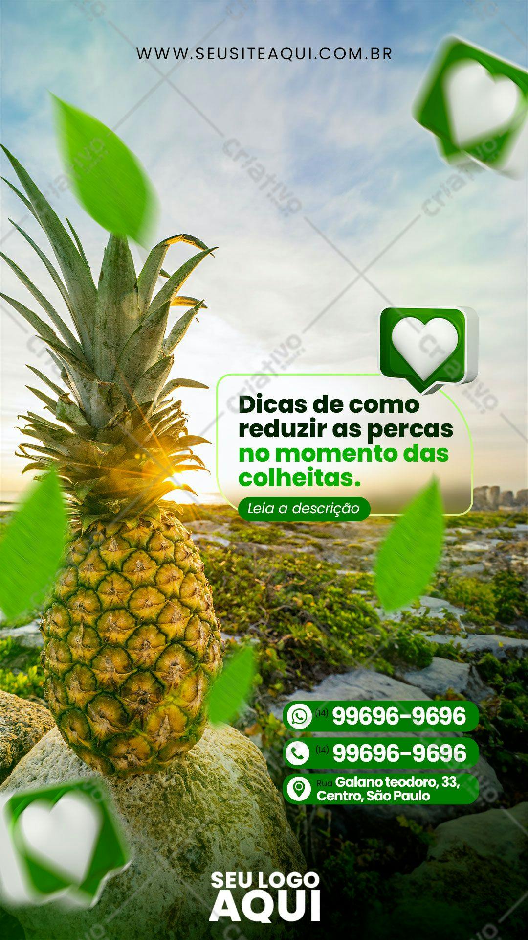 Post para Redes Sociais Agricultura Abacaxi PSD Editável