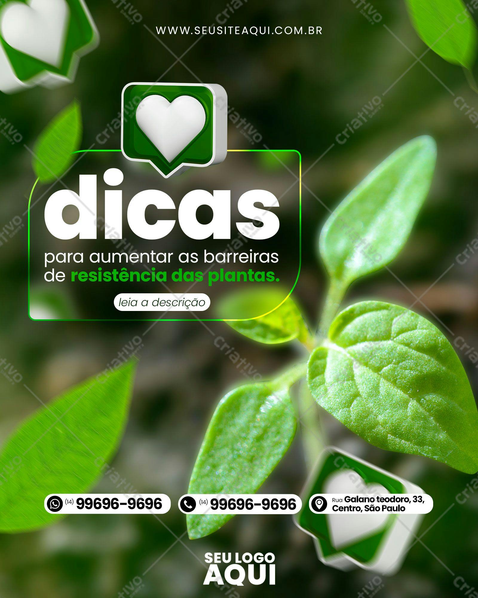 Post para Redes Sociais: Dicas para Plantas PSD Editável