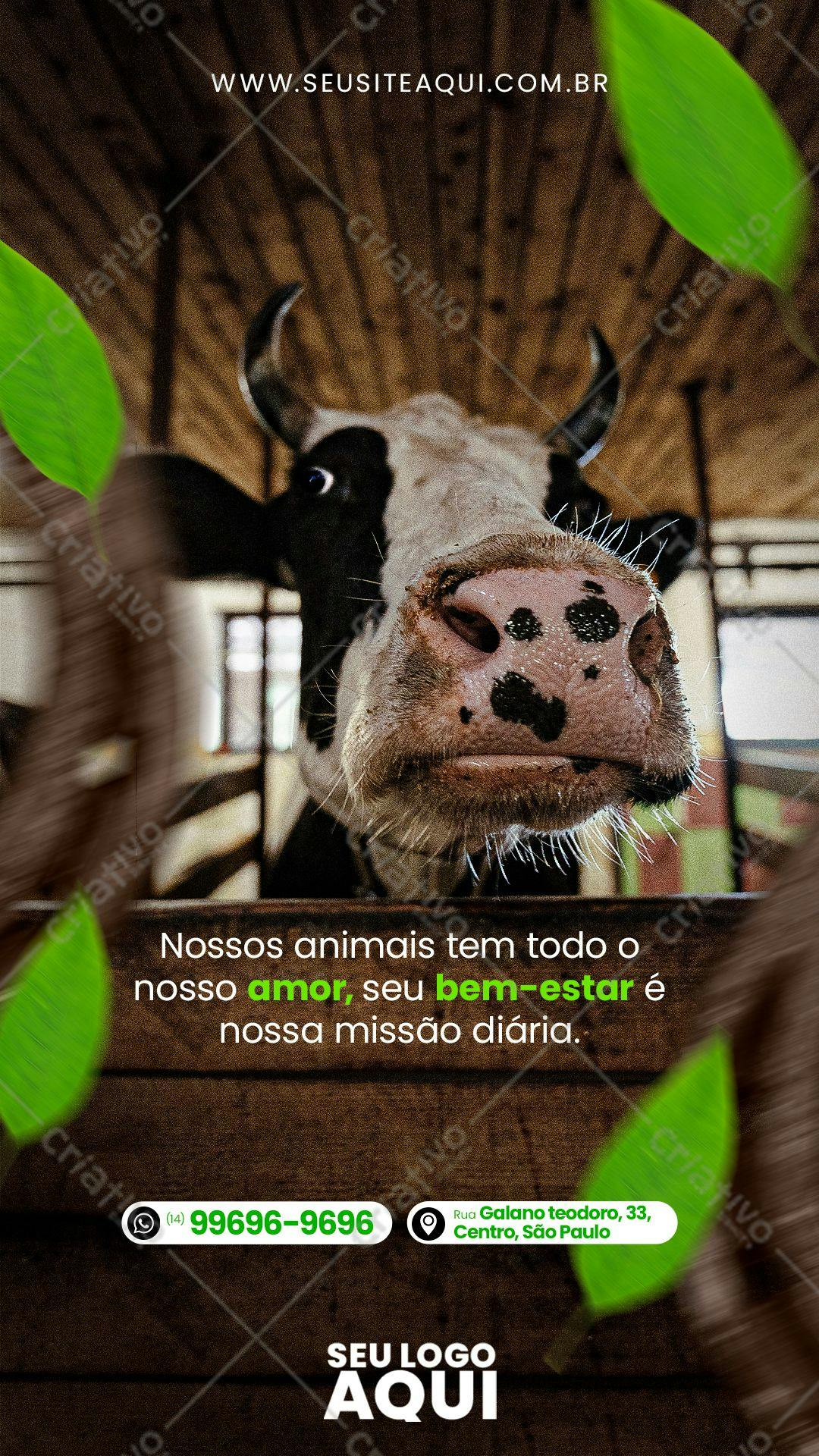 Post para Redes Sociais com Vaca PSD Editável