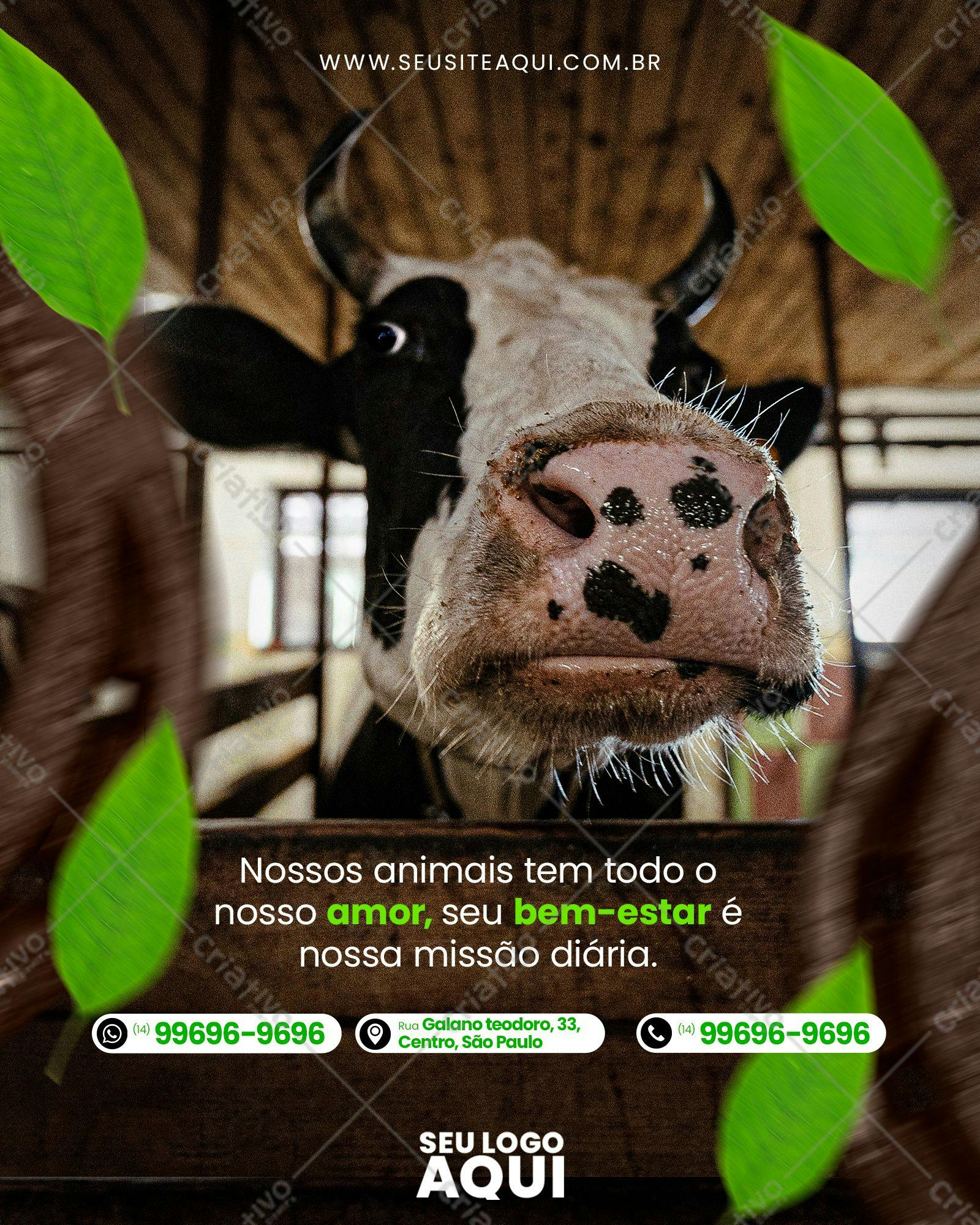 Banner para Veterinária com Vaca PSD Editável