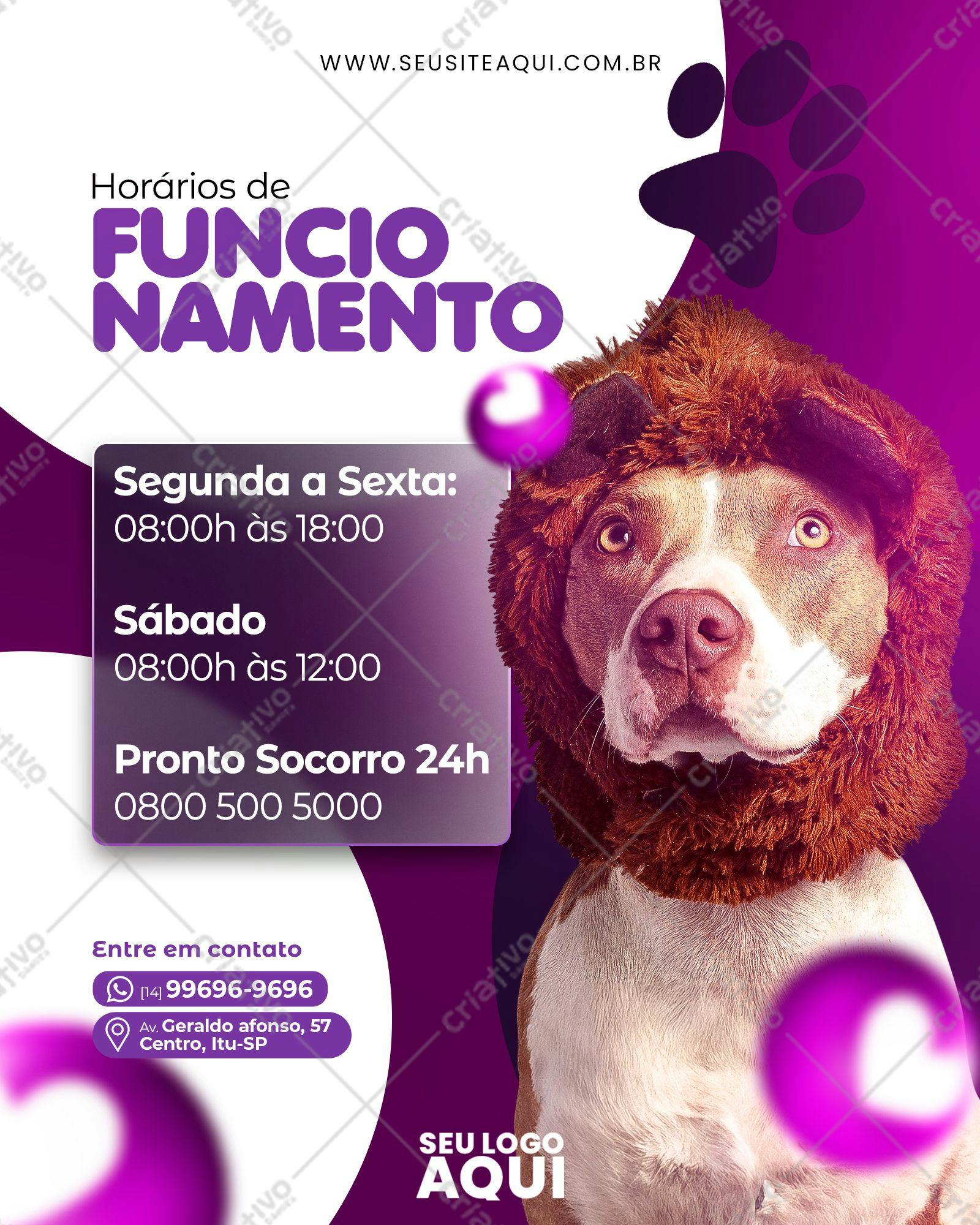 Post para Redes Sociais Veterinária PSD Editável